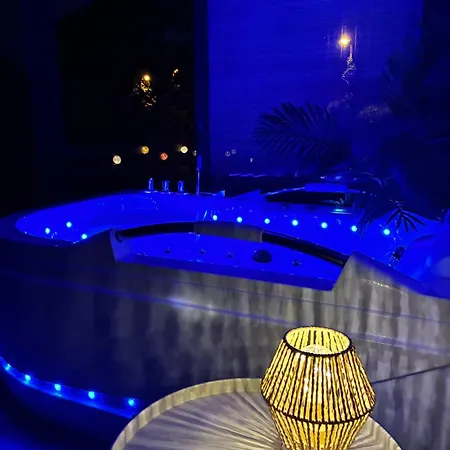 Vue Cité, Balnéo Privée, Clim, Jardin, Parking Gratuit Carcasona
