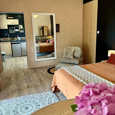 Vue Cité, Balnéo Privée, Clim, Jardin, Parking Gratuit Carcasona