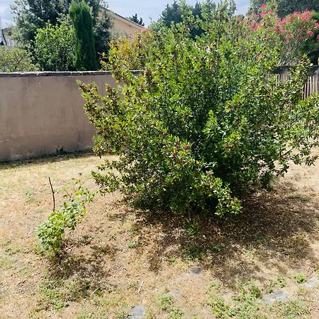 Vue Cité, Balnéo Privée, Clim, Jardin, Parking Gratuit Apartamento